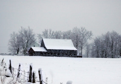 Snow Tires vs All-Season Tires, The Debate Rolls On