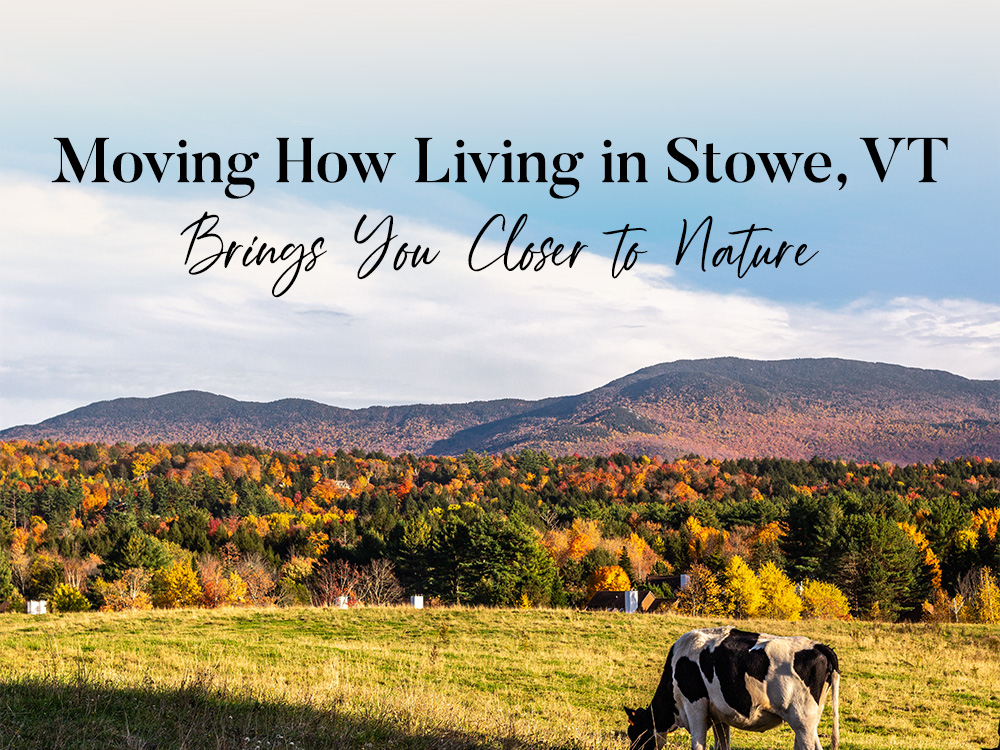 Living in Stowe Vermont’s nature