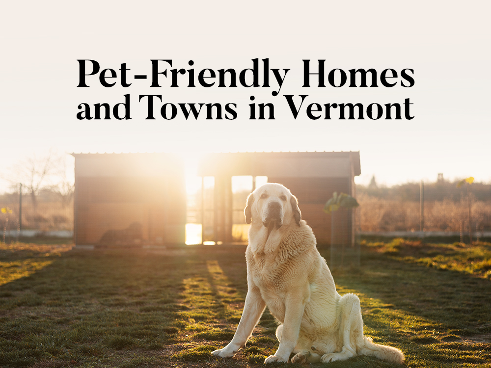 pet-friendly homes for sale Vermont