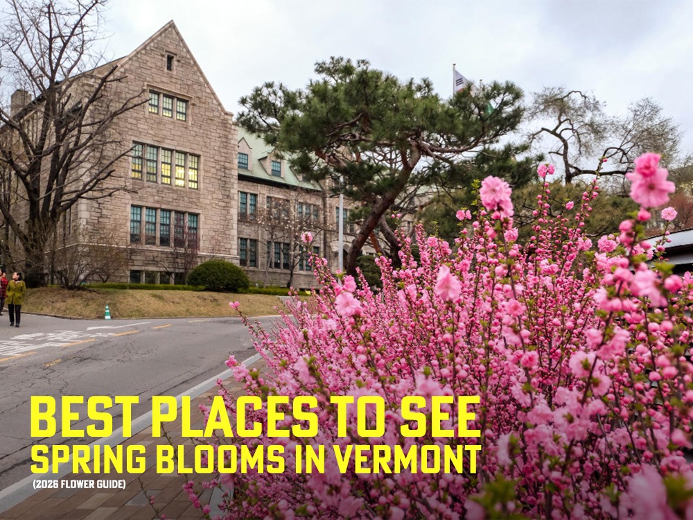 best places to see spring blooms in Vermont 2026,